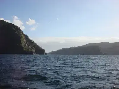 DSC01256